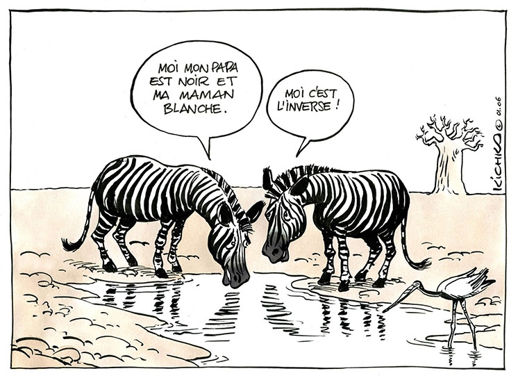 "Moi mon papa est noir et ma maman blanche" "Moi c'est l'inverse"